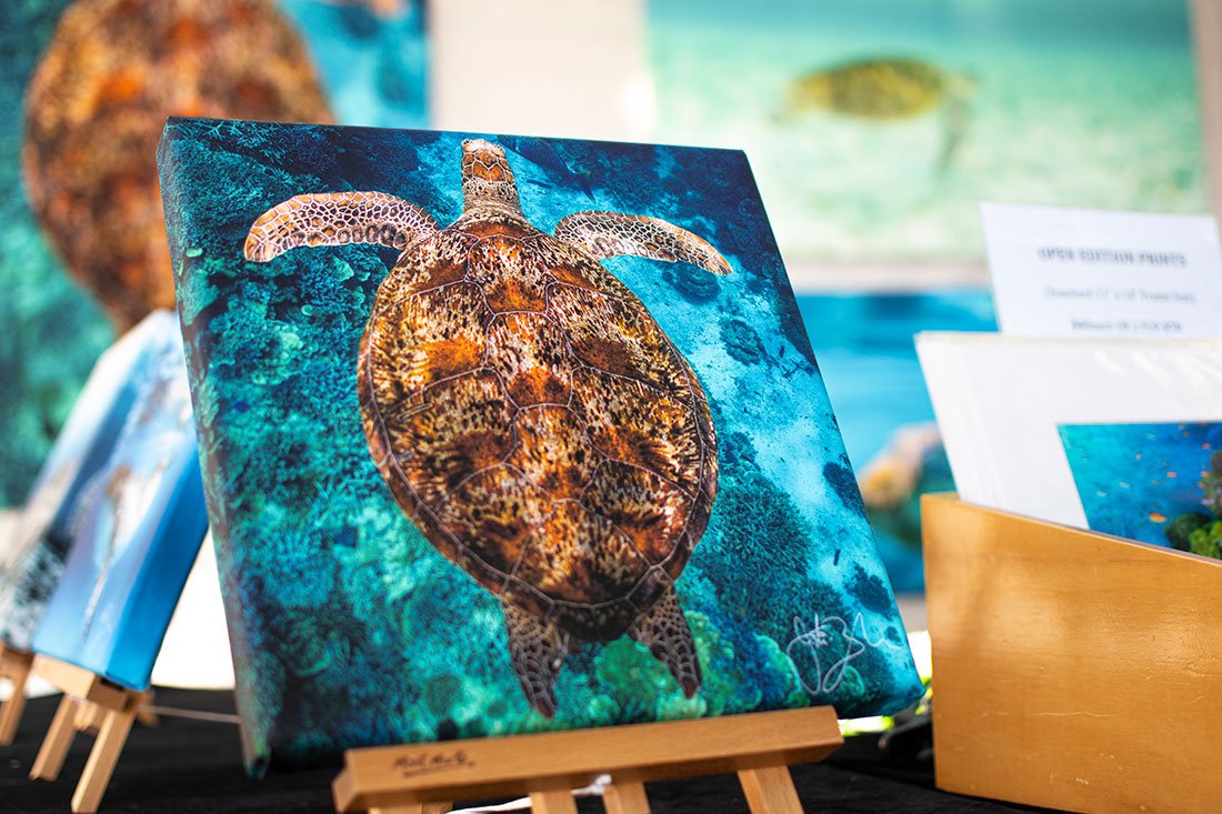 Pure Underwater Imaging